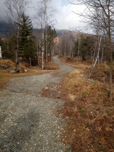 Strada sterrata per la Ca' Bianca e Big Bench #78