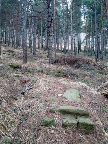 Sentiero per la Baita degli Alpini
