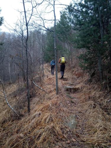 Sentiero per la Baita degli Alpini