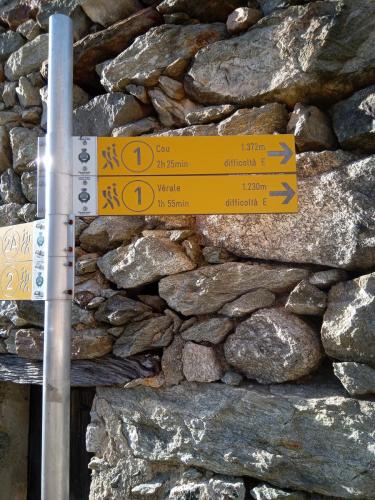 IMG 20230204 100337 2