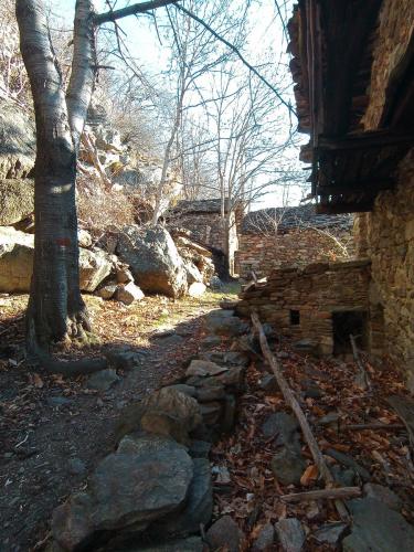 IMG 20230204 104934 0