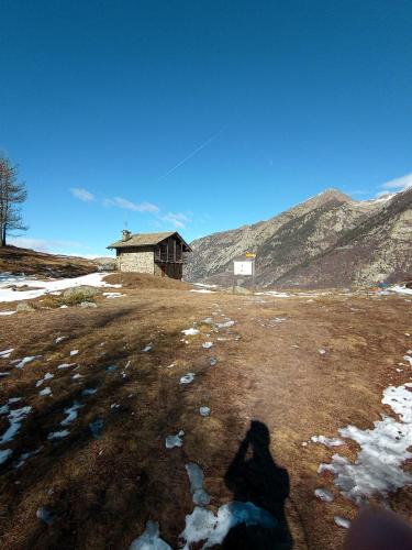 IMG 20230204 120433 3