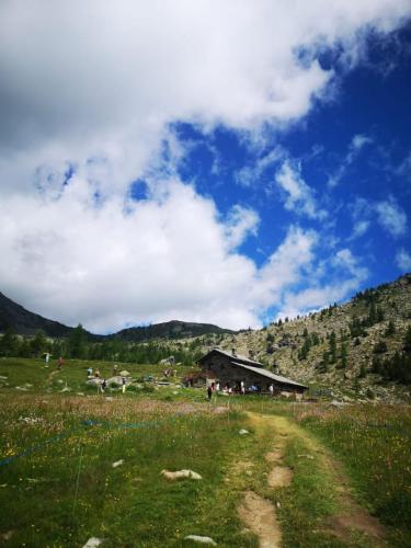 photo 2023-07-25-12.15.03