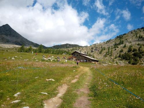 photo 2023-07-25-12.15.21