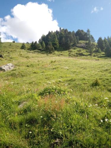 photo 2023-07-25-12.15.32