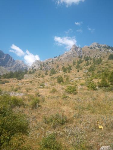 IMG 20230812 114301 5