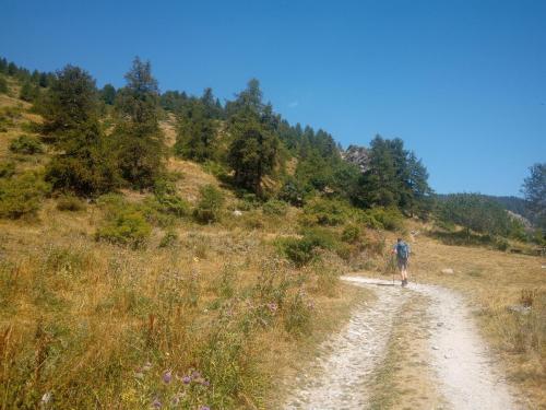 IMG 20230812 114318 0