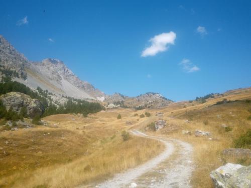 IMG 20230812 121619 1