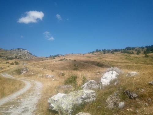 IMG 20230812 121622 8