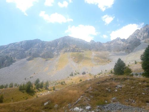 IMG 20230812 131323 9