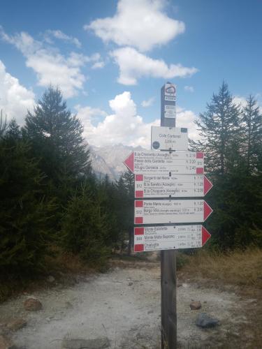 IMG 20230812 132531 7