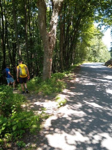 photo 2023-07-25-12.17.52