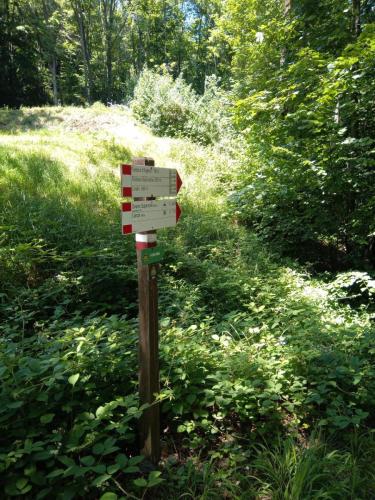 photo 2023-07-25-12.17.53