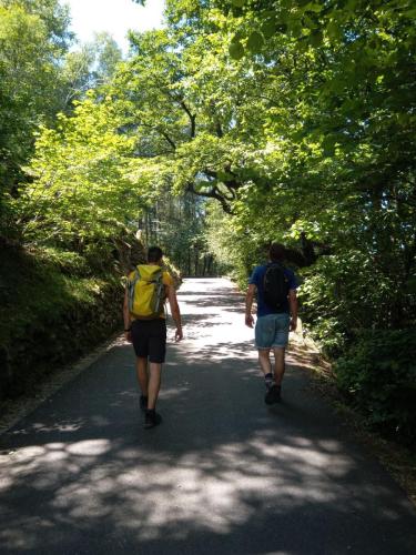 photo 2023-07-25-12.17.56