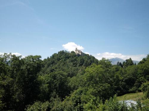 photo 2023-07-25-12.17.58