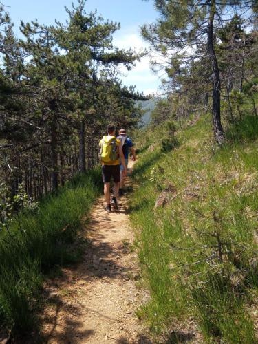 photo 2023-07-25-12.18.11