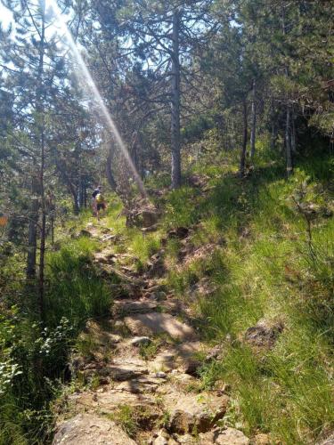 photo 2023-07-25-12.18.14