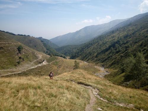 IMG 20230819 120618 0