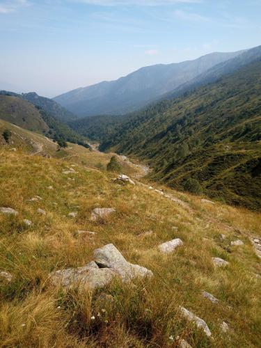 IMG 20230819 121122 2