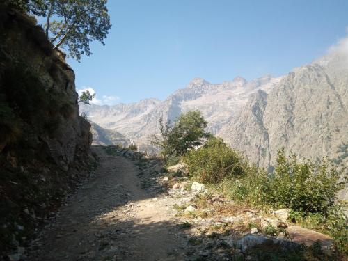 IMG 20230813 104944 7