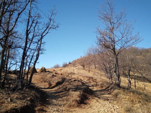 Sentiero per il Monte Musinè
