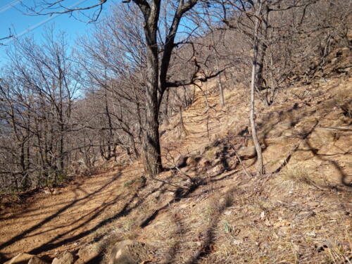 Sentiero per il Monte Musinè