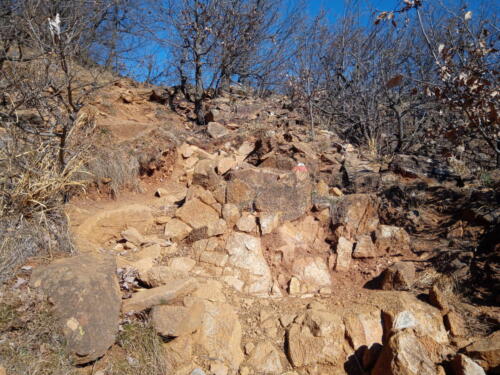 Sentiero per il Monte Musinè
