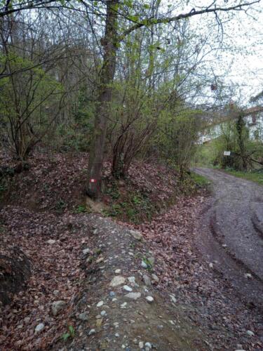 Sentiero 65 per Superga - Incrocio che inganna