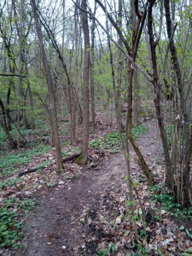 Sentiero 65 per Superga