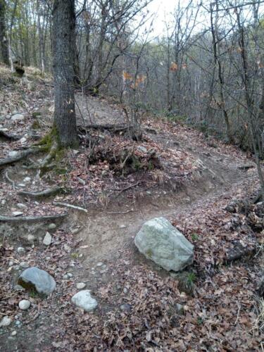 Sentiero 65 per Superga