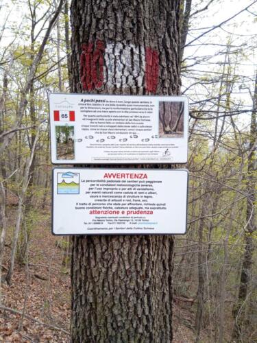 Sentiero 65 per Superga