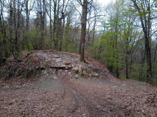 Sentiero 65 per Superga