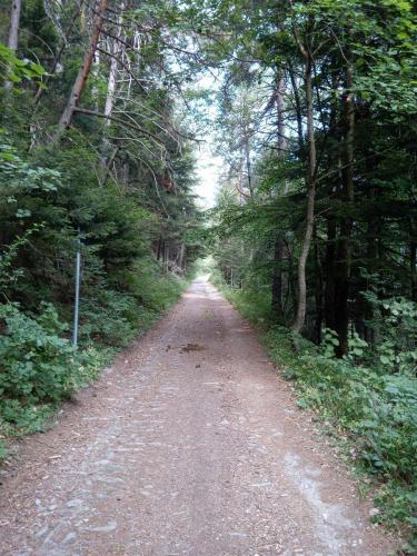 Sentiero 1 del Gran Bosco di Salbertrand