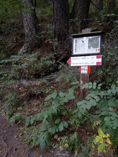 Segnaletica sentiero 1