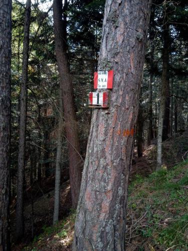 Sentiero 1 del Gran Bosco di Salbertrand