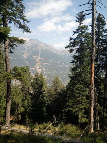 Sentiero 1 del Gran Bosco di Salbertrand
