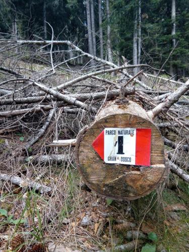 Sentiero 1 del Gran Bosco di Salbertrand