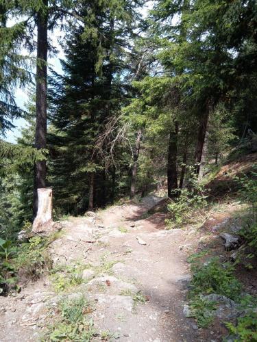 La discesa dalla GTA