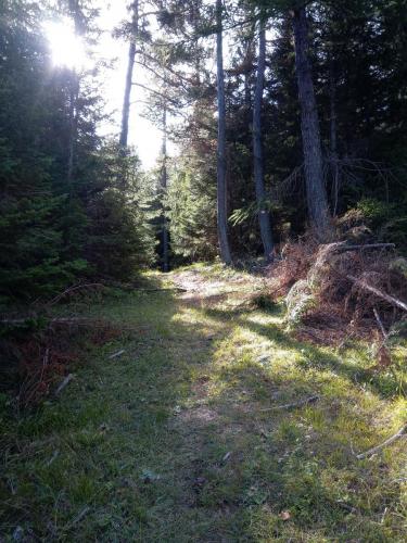 Sentiero per il rifugio Guido Rey