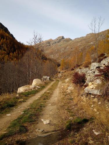Sentiero per il Lago di Pratofiorito