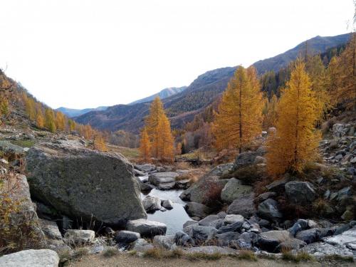 Sentiero per il Lago di Pratofiorito