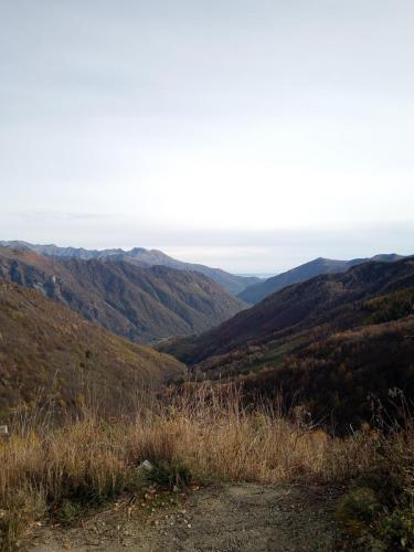 Sentiero per il Lago di Pratofiorito