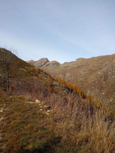 Sentiero per il Lago di Pratofiorito