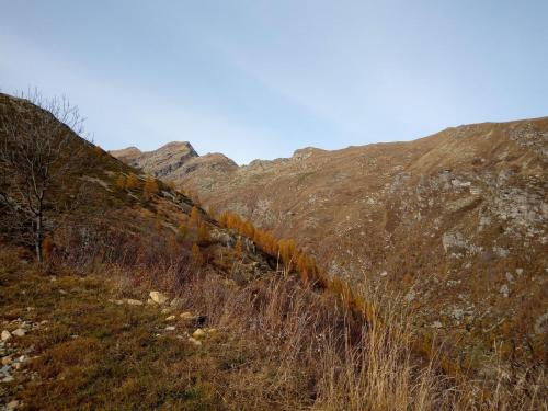 Sentiero per il Lago di Pratofiorito