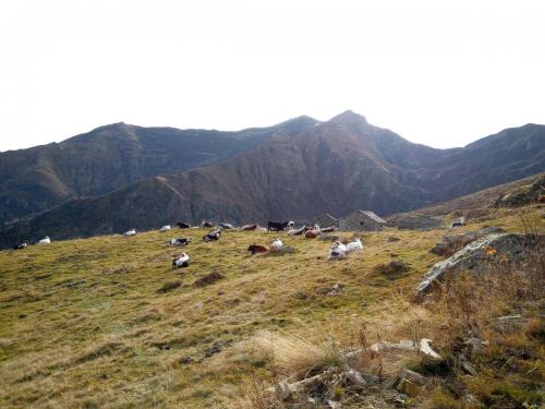 Sentiero per il Lago di Pratofiorito