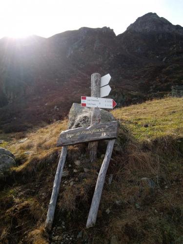 Sentiero per il Lago di Pratofiorito