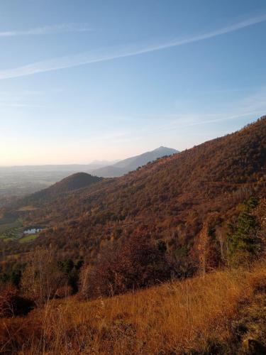 Sentiero per il Monte Bernard