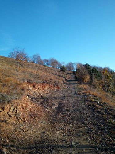 Sentiero per il Monte Bernard
