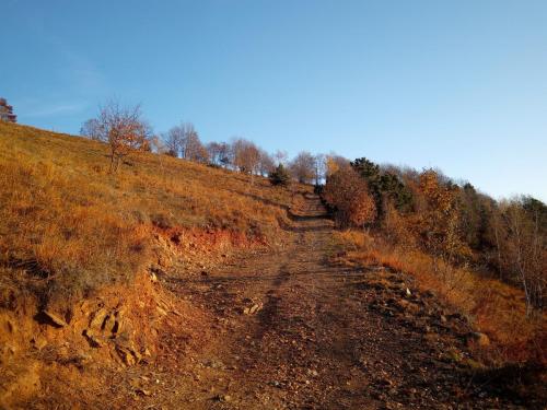 Sentiero per il Monte Bernard