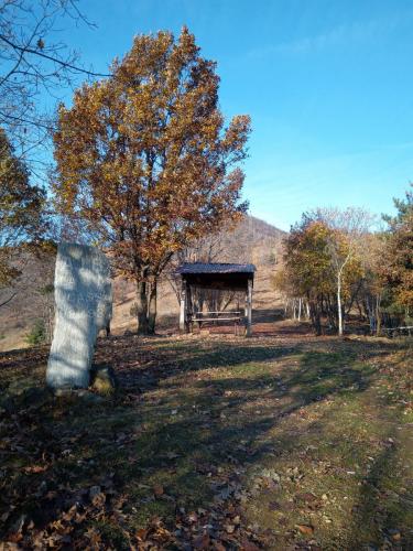 Sentiero per il Monte Bernard